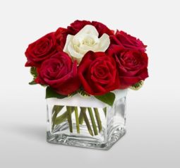 קוביית ורדים