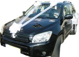 קישוט רכב לבן