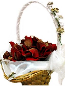 סלסלאות לשושבינות