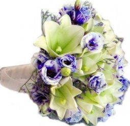 שושן צחור וליזיאנטוס סגול