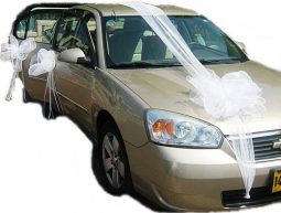 קישוט רכב ברשת לבן