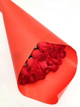 קונוס ורדים