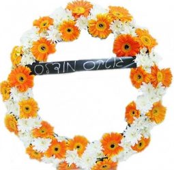 גלגל אבל כתום לבן