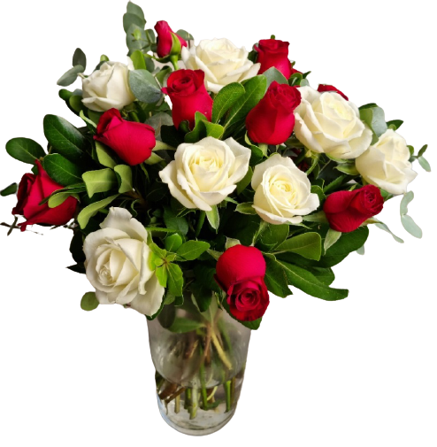 ורדים אדום לבן