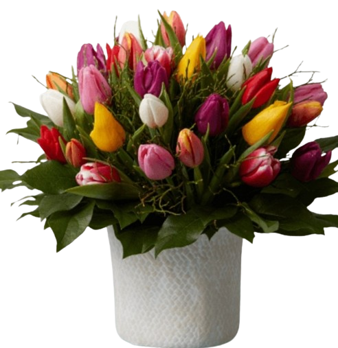 31 טוליפים בכלי קרמי