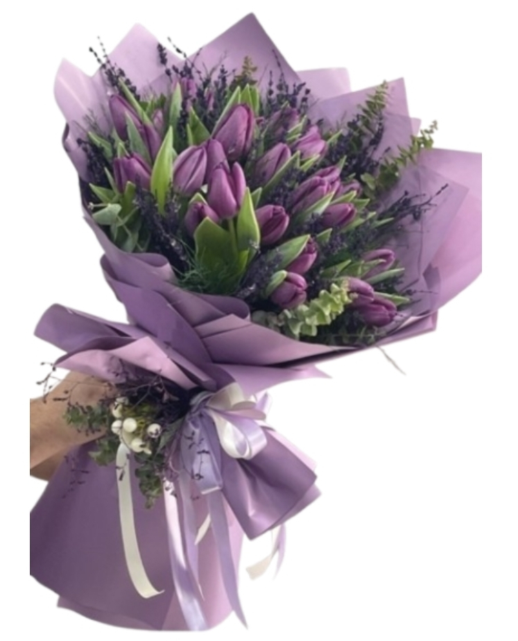 מארז טוליפים סגול