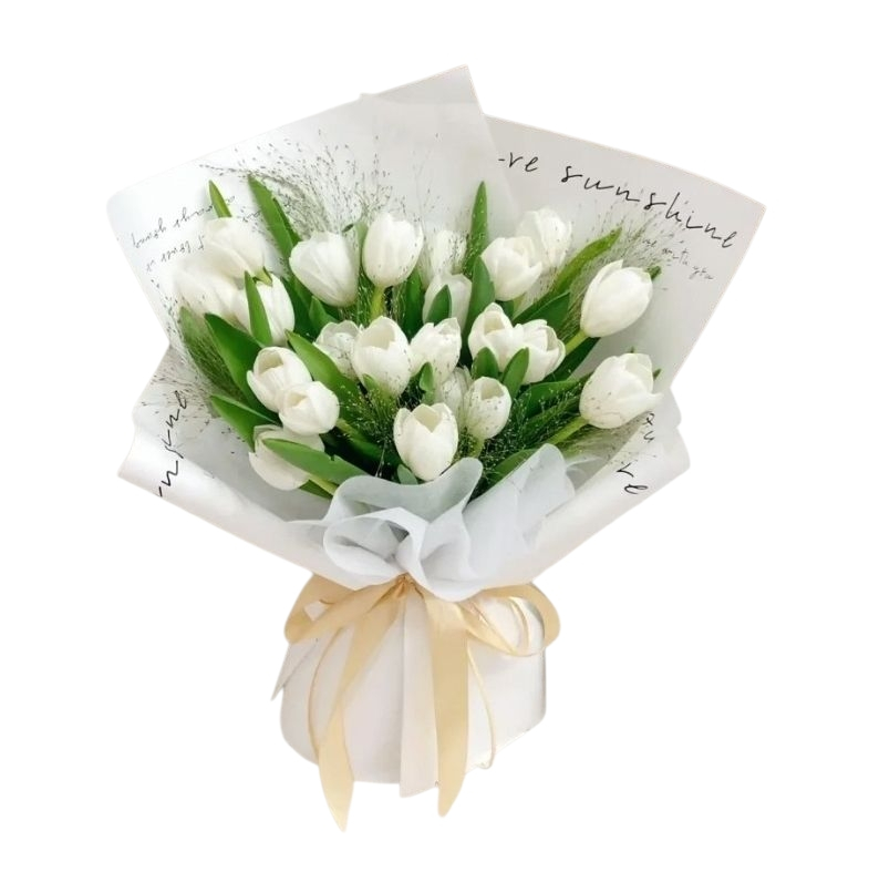 מארז טוליפים לבן