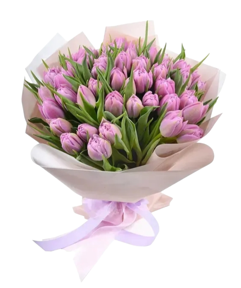 מארז טוליפים ורודים