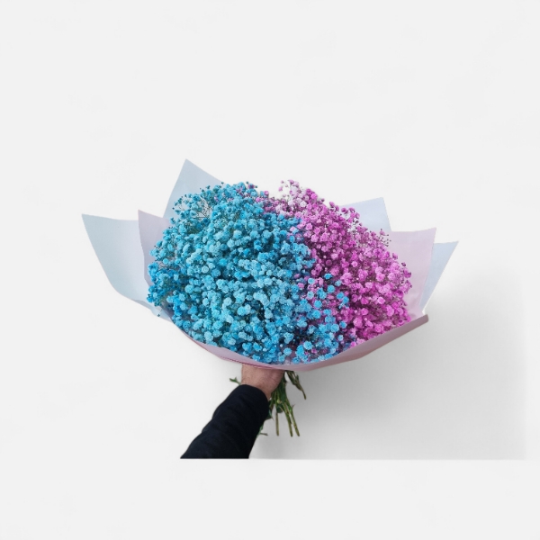 גבסנית לגילוי העובר